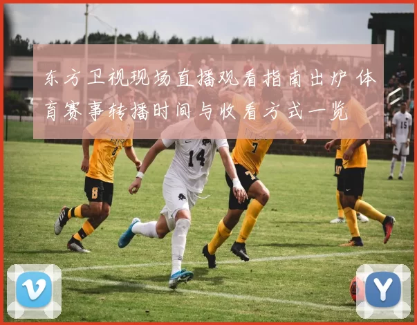 东方卫视现场直播观看指南出炉 体育赛事转播时间与收看方式一览
