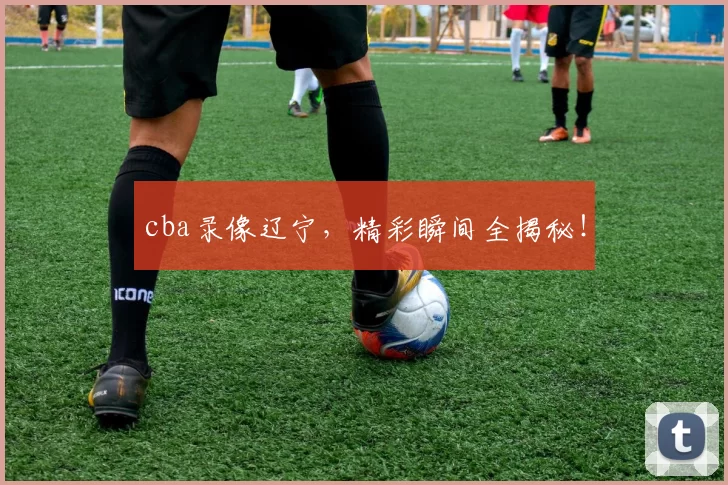 cba录像辽宁，精彩瞬间全揭秘！