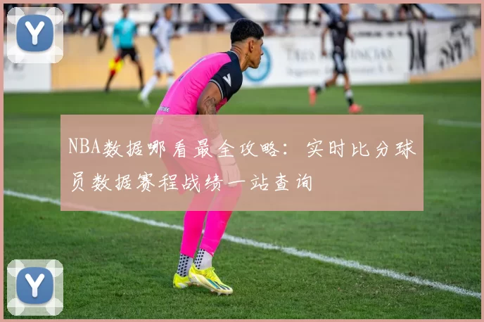NBA数据哪看最全攻略:实时比分球员数据赛程战绩一站查询