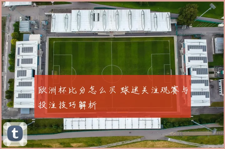 欧洲杯比分怎么买 球迷关注观赛与投注技巧解析
