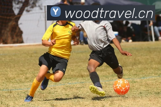 Kaiyun - 中国(官方网站) - 国家认证服务平台平台生态图