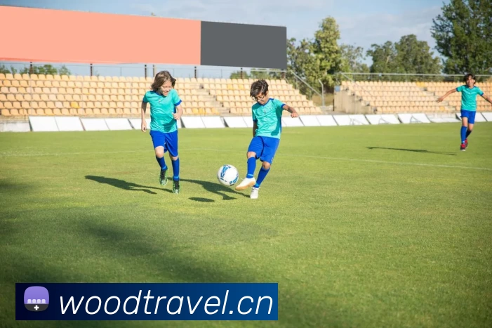 Kaiyun - 中国(官方网站) - 国家认证服务平台APP 封面图